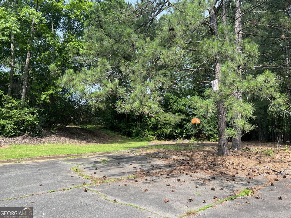 3708 Sharon Run Powder Springs, GA 30127 - Photo 2 of 5 a view of a yard with a tree