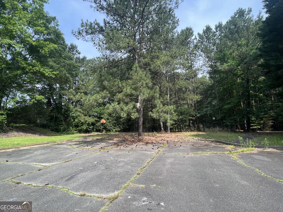 3708 Sharon Run Powder Springs, GA 30127 - Photo 4 of 5 a view of basketball court