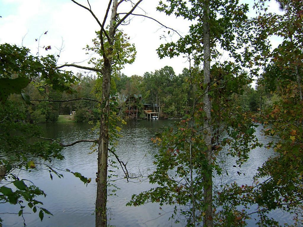 47 Deer Ridge Cleveland, TX 77327 - Photo 3 of 6 a view of a lake in middle of forest