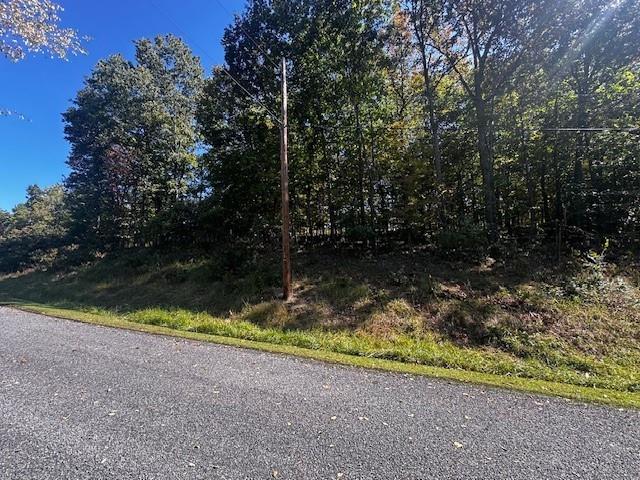 0 Arrowhead Road Prosperity, PA 15329 - Photo 1 of 3 a view of backyard and tree