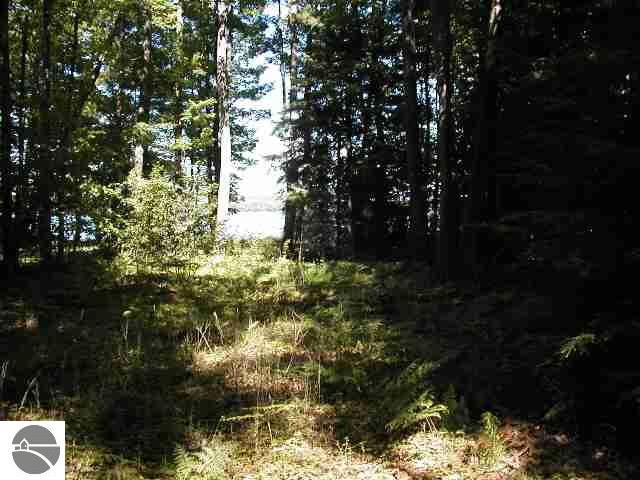9294 Skegemog Point Road Williamsburg, MI 49690 - Photo 10 of 11 1694592-9.JPG