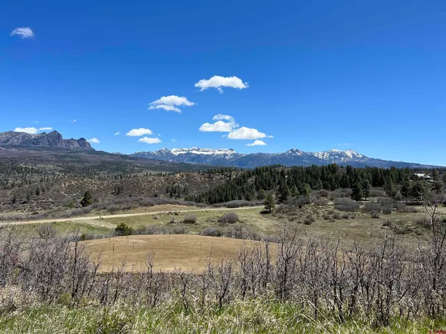 a view of a yard with a tree