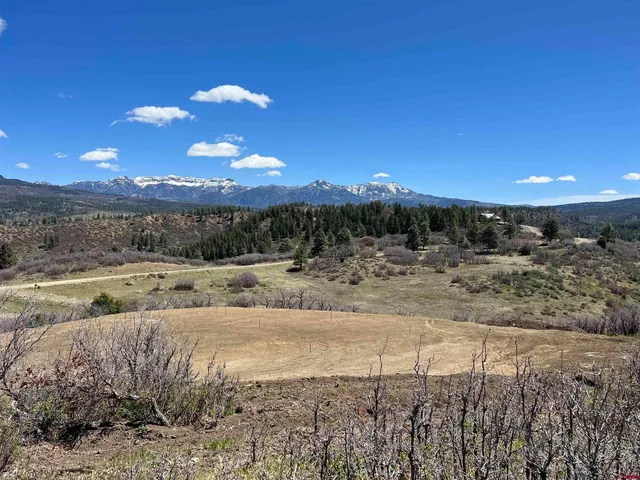 a view of a yard next to a yard