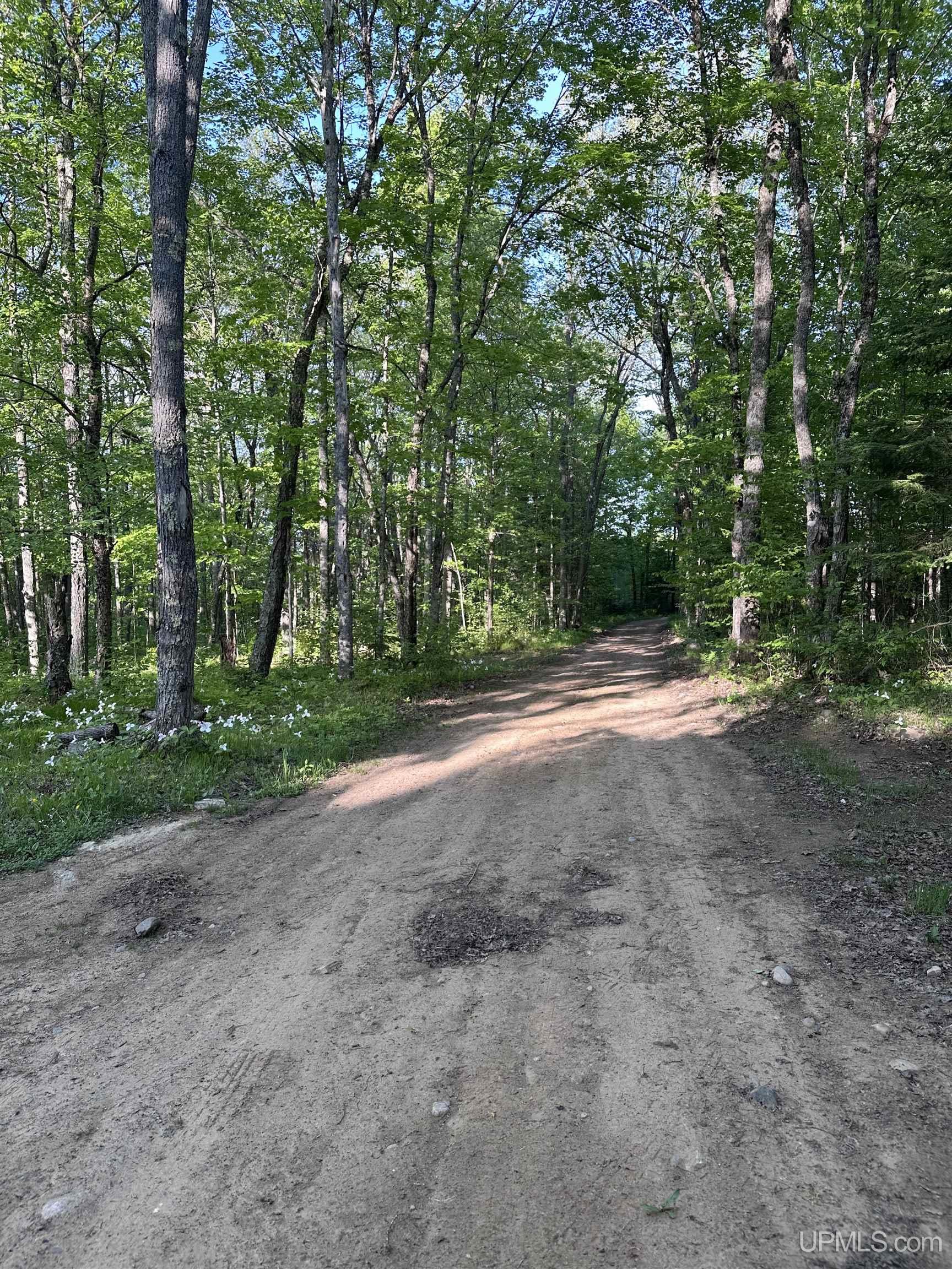 549 Sheltrow Road Crystal Falls, MI 49920 - Photo 5 of 35