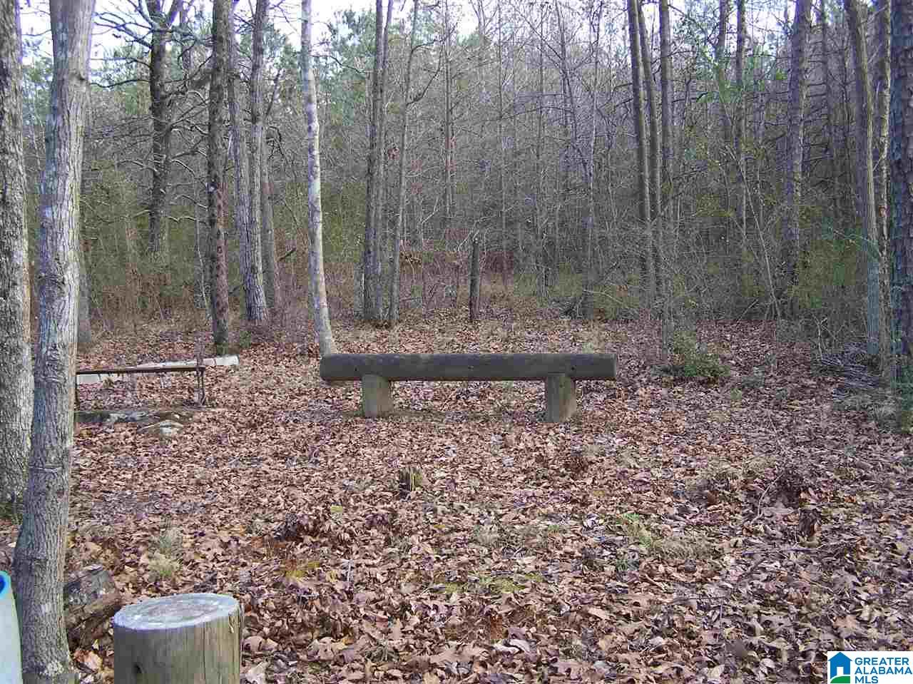 250 Jones Chapel Loop Springville, AL 35146 - Photo 13 of 19