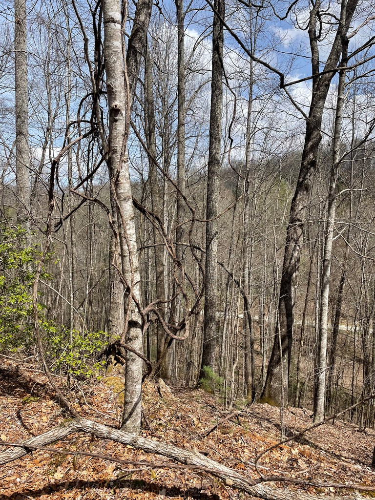 0 Hidden Lakes Road Topton, NC 28781 - Photo 13 of 14