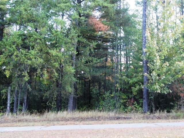Lot 3 School Road Tomahawk, WI 54487 - Photo 6 of 11 Gallery Image 6