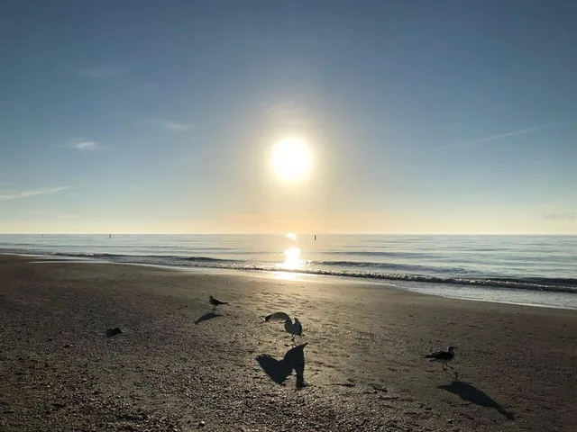 $349,900 | 100 Bluff View Drive, Unit 415A, Belleair Bluffs, FL 33770