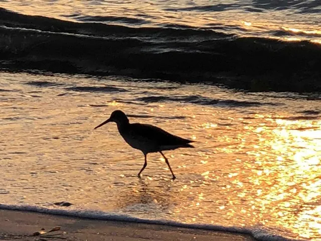 $349,900 | 100 Bluff View Drive, Unit 415A, Belleair Bluffs, FL 33770