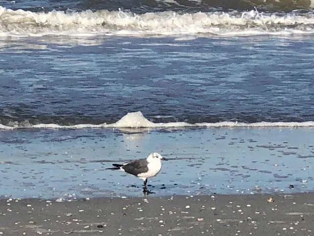 $349,900 | 100 Bluff View Drive, Unit 415A, Belleair Bluffs, FL 33770