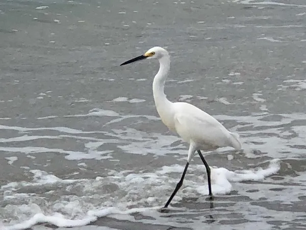 $319,900 | 100 Bluff View Drive, Unit 415A, Belleair Bluffs, FL 33770