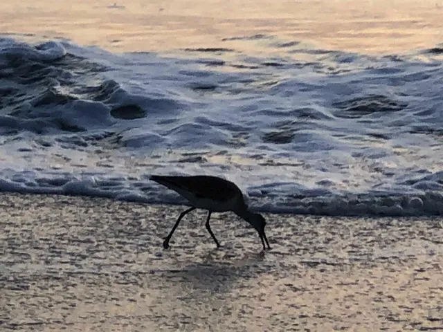 $349,900 | 100 Bluff View Drive, Unit 415A, Belleair Bluffs, FL 33770