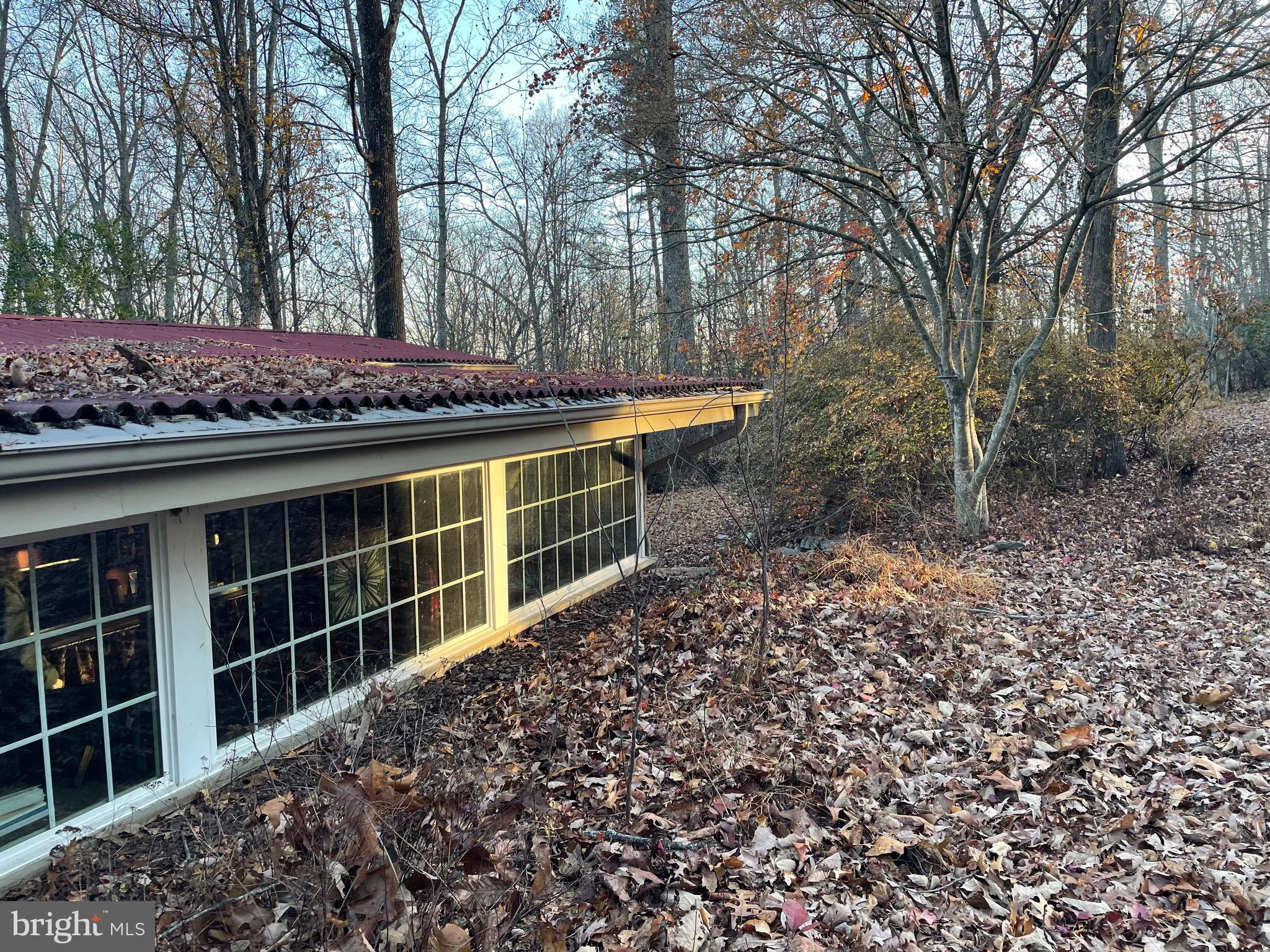 59 Angel Kiss Lane Castleton, VA 22716 - Photo 13 of 18 a view of a backyard with wooden fence and large trees