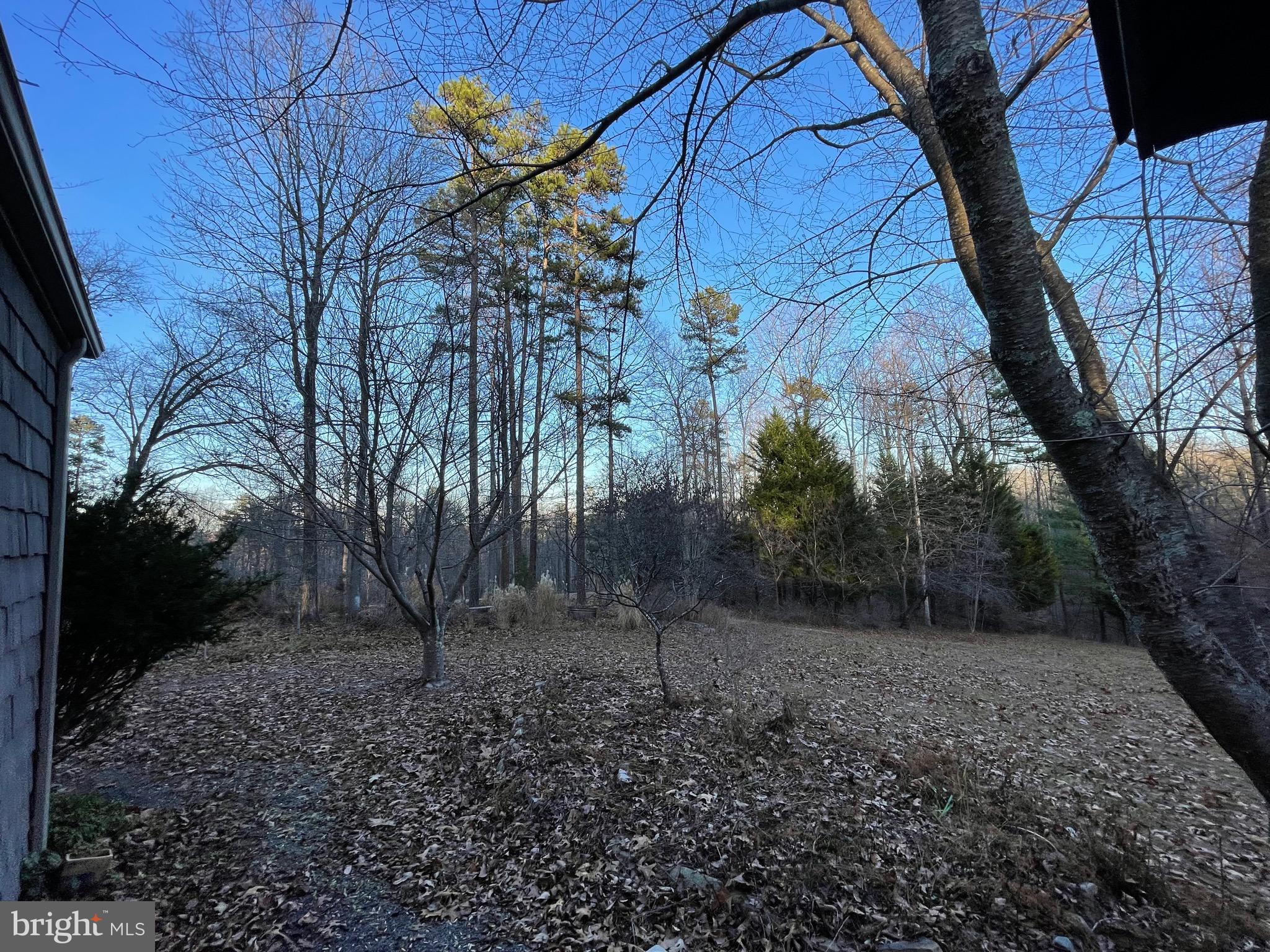 59 Angel Kiss Lane Castleton, VA 22716 - Photo 18 of 18 a backyard of a house with lots of green space