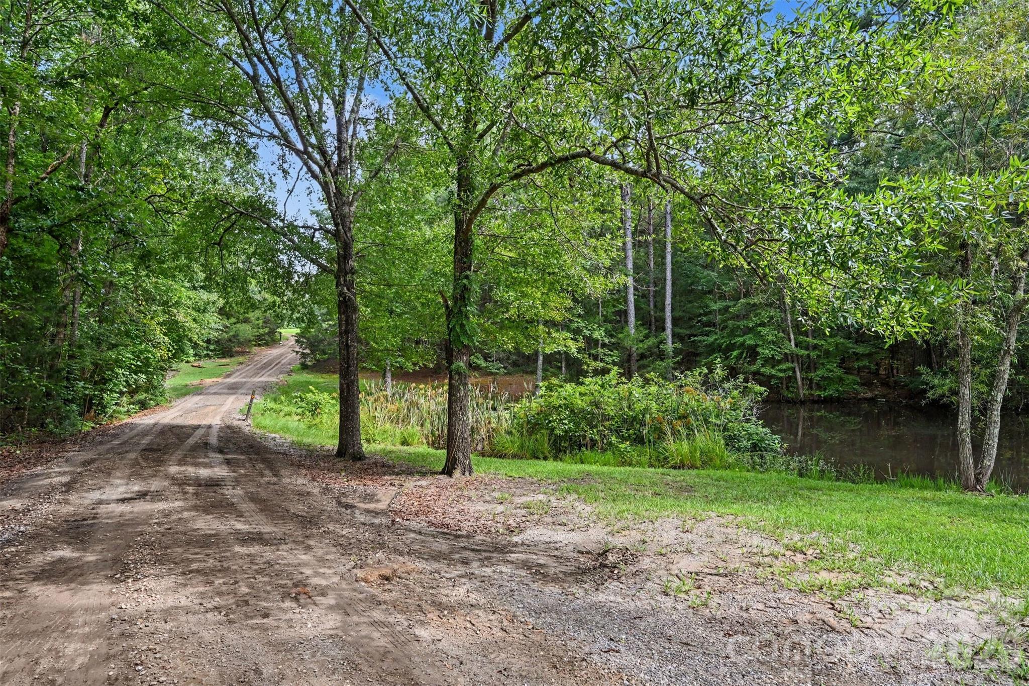 2223 Camp Creek Road Lancaster, SC 29720 - Photo 21 of 33 Gallery Image 21