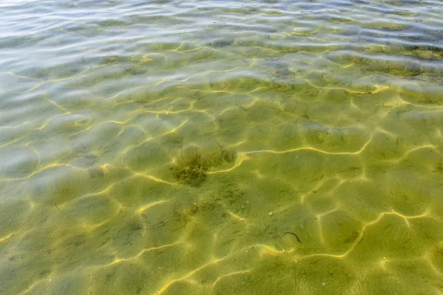 $549,900 | N4522 Park, Cambridge, WI 53523