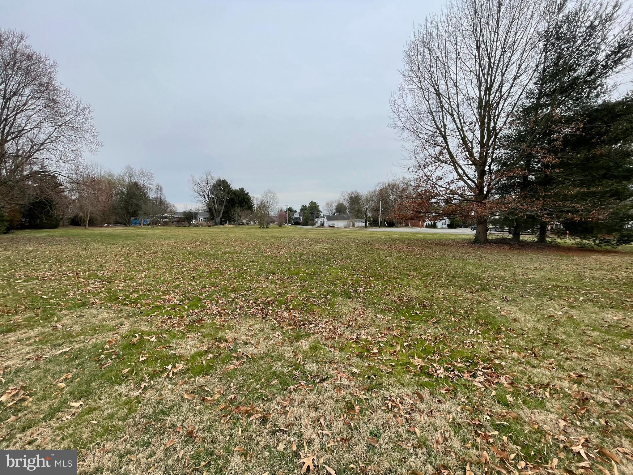 36 Parcel 80 Watertower Road Chestertown, MD 21620 - Photo 2 of 3 a view of a field with an trees