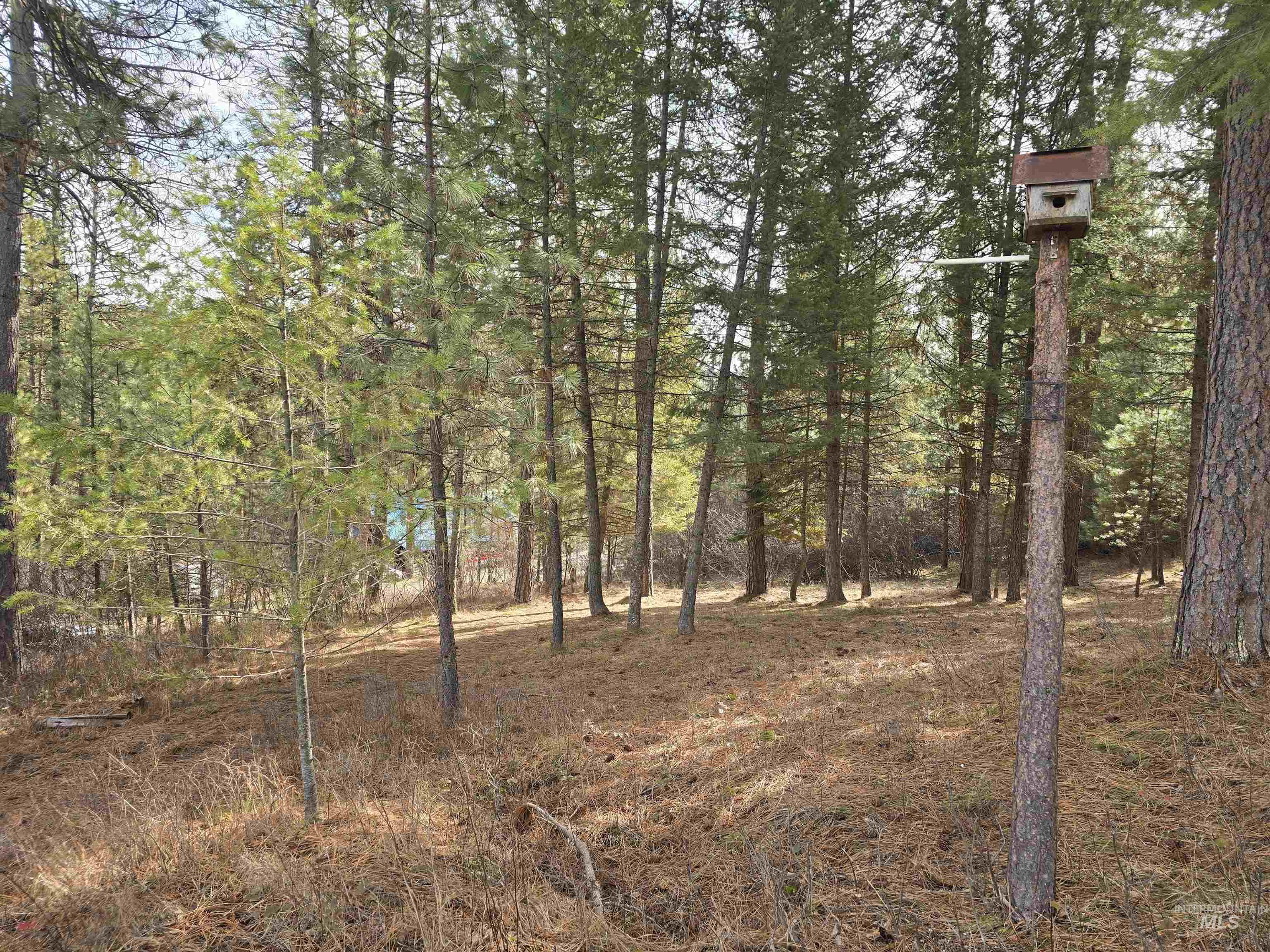 Tbd Ranch Road Garden Valley, ID 83622 - Photo 4 of 12