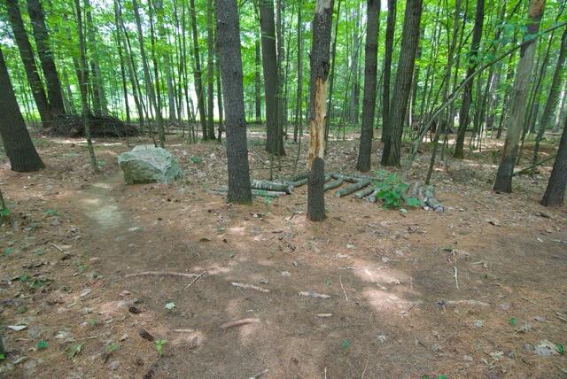 725 Mercer Road Norridgewock, ME 04957 - Photo 36 of 64 DSC_0230 1 Medium