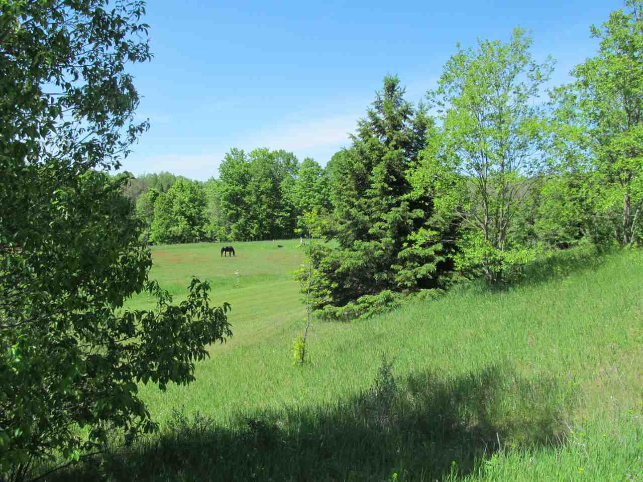 15526 20 Mile Road Tustin, MI 49688 - Photo 18 of 24 1862281-17.JPG