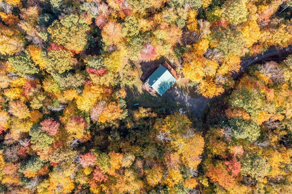 --- Confidential Danbury, NH 03230 - Photo 2 of 13