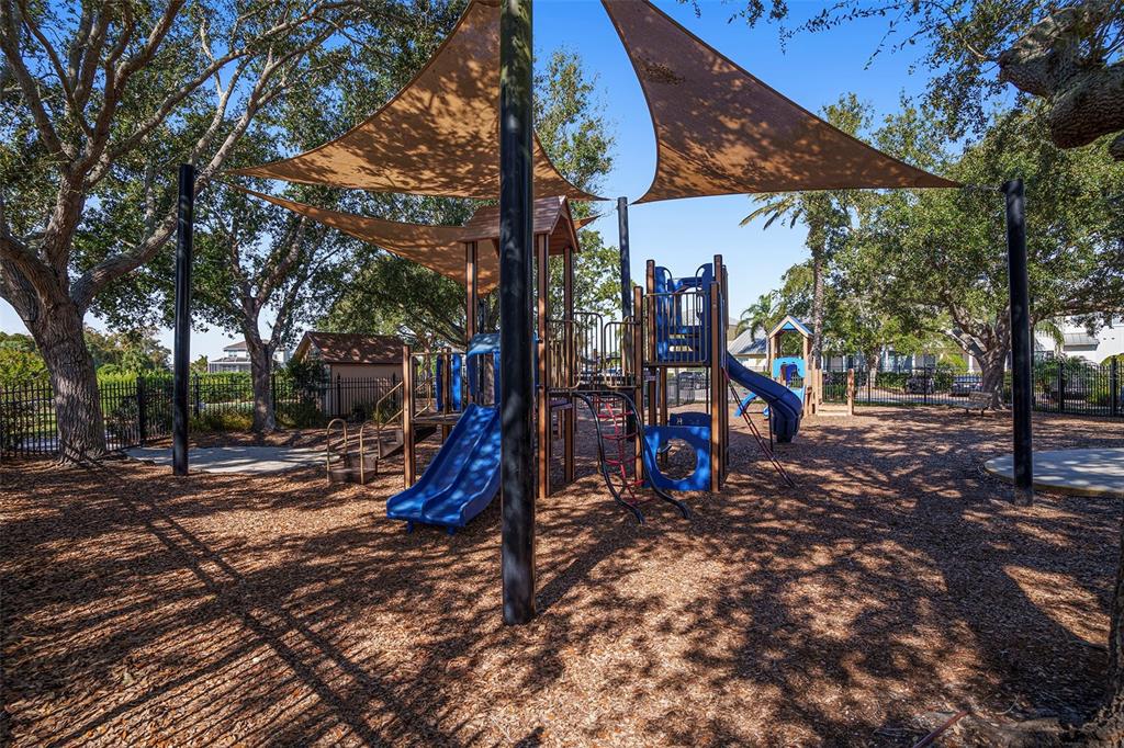 320 Ibisview Lane Apollo Beach, FL 33572 - Photo 30 of 30 a view of a park with a tree