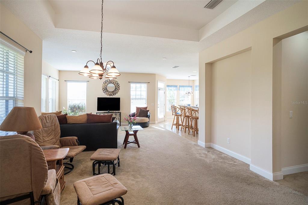 320 Ibisview Lane Apollo Beach, FL 33572 - Photo 9 of 30 a living room with furniture chandelier and a chandelier
