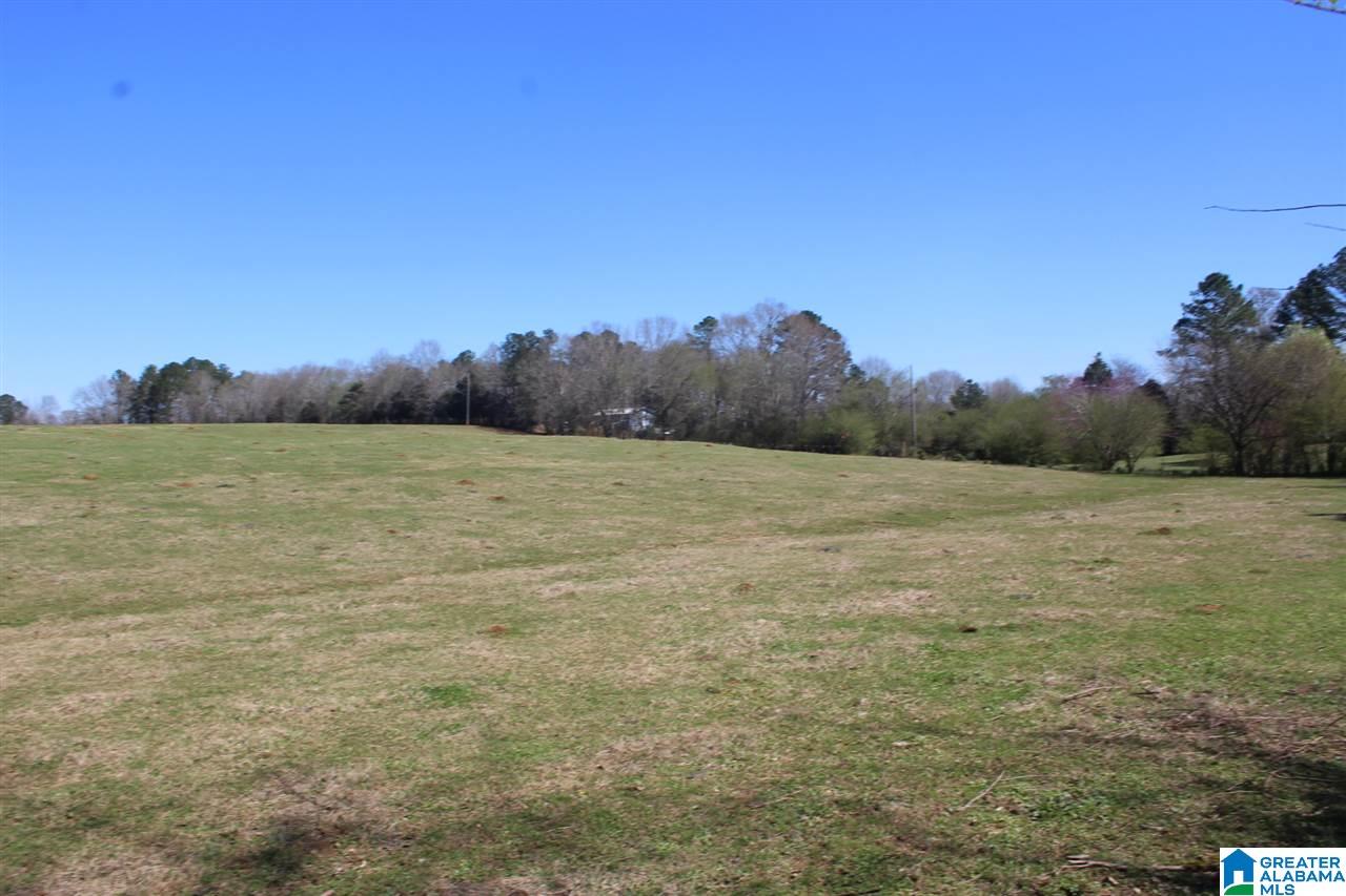 0 Lewis Road Columbiana, AL 35051 - Photo 7 of 10