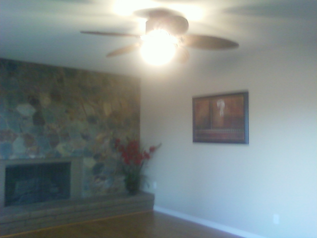 3607 East Bloomfield Road Phoenix, AZ 85032 - Photo 12 of 38 house