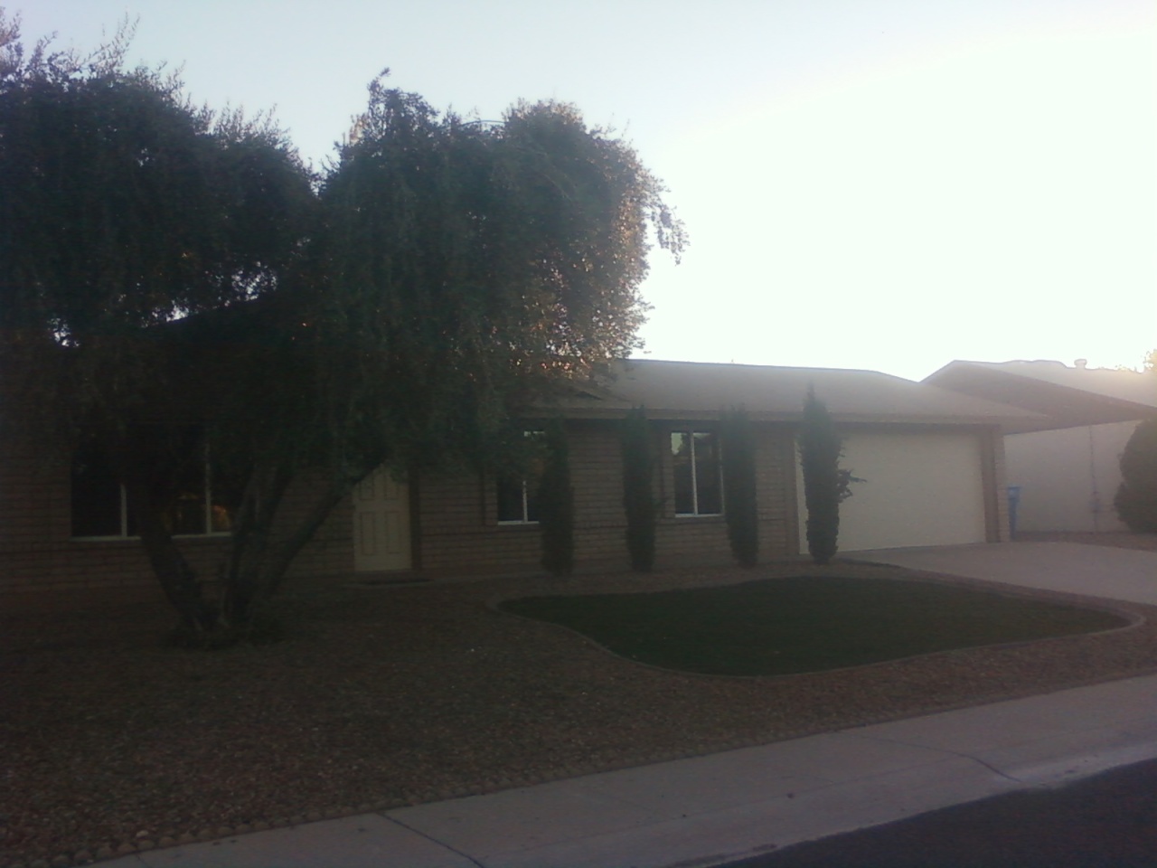 3607 East Bloomfield Road Phoenix, AZ 85032 - Photo 2 of 38 house