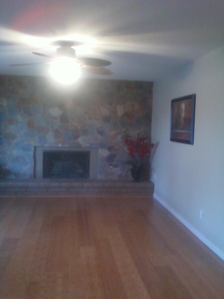 3607 East Bloomfield Road Phoenix, AZ 85032 - Photo 25 of 38 house