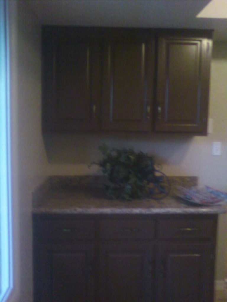3607 East Bloomfield Road Phoenix, AZ 85032 - Photo 33 of 38 house