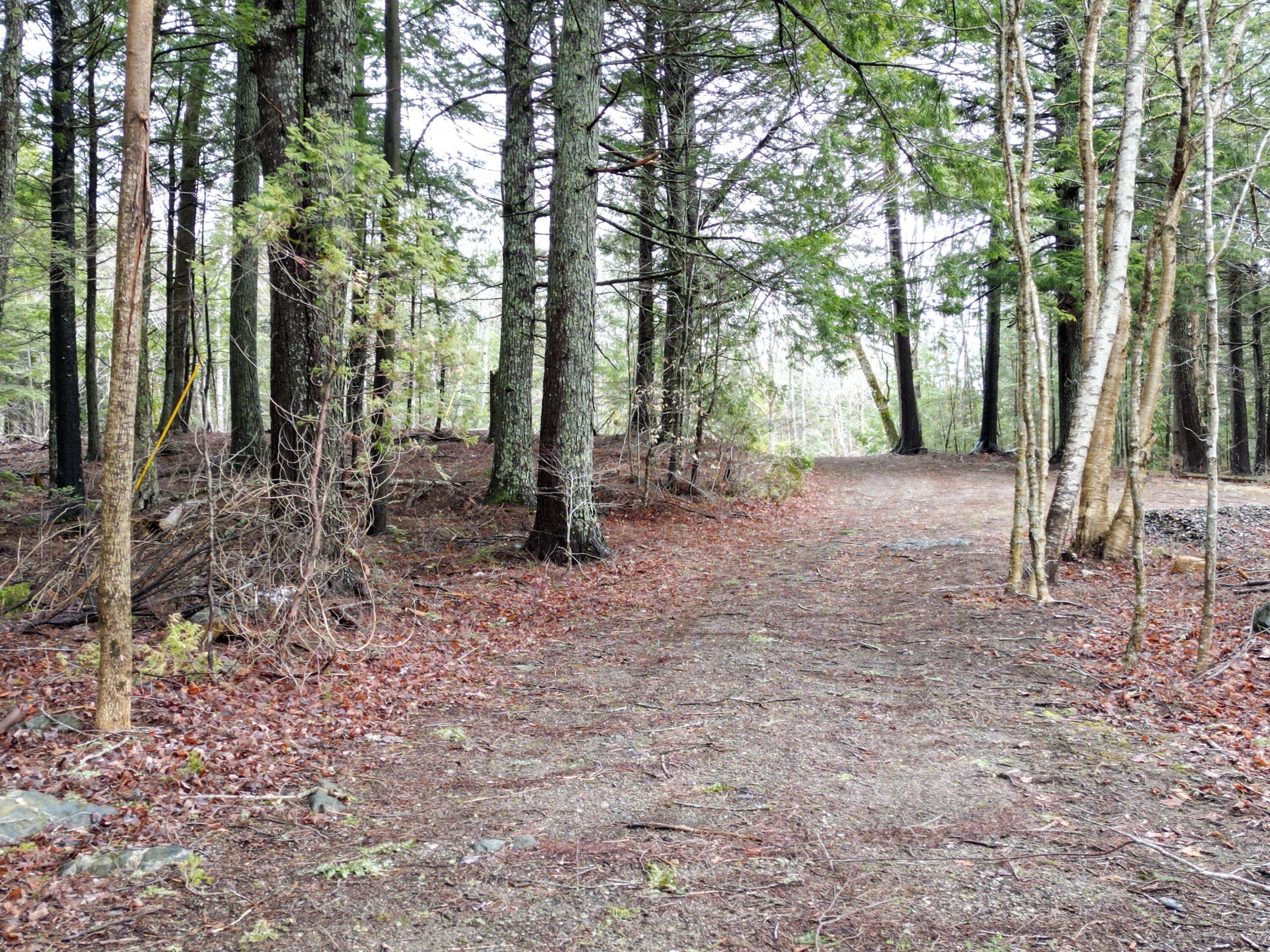 208 Camp Road Cooper, ME 04657 - Photo 28 of 28 DJI_0150