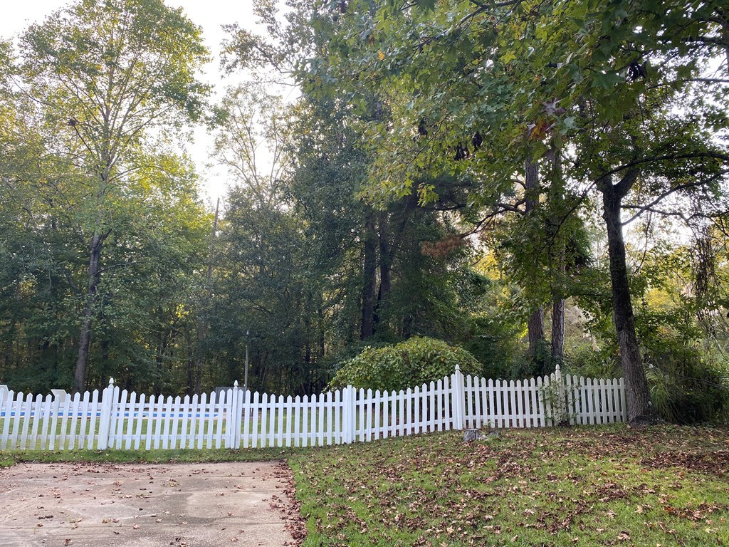 7715 Jenkins Road Upatoi, GA 31829 - Photo 3 of 15 Gallery Image 3