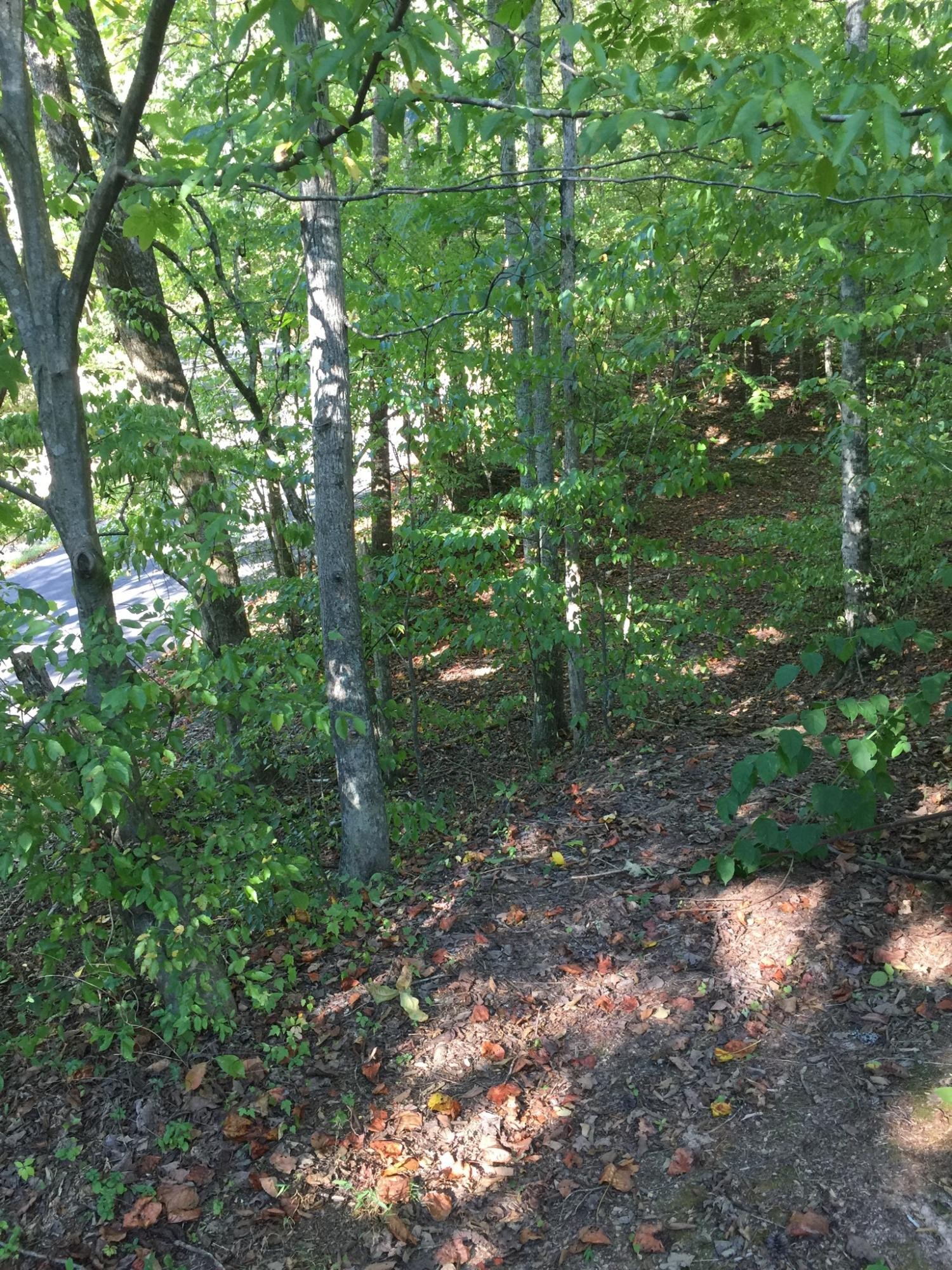 0 Forge Hideaway Road Pigeon Forge, TN 37863 - Photo 3 of 5