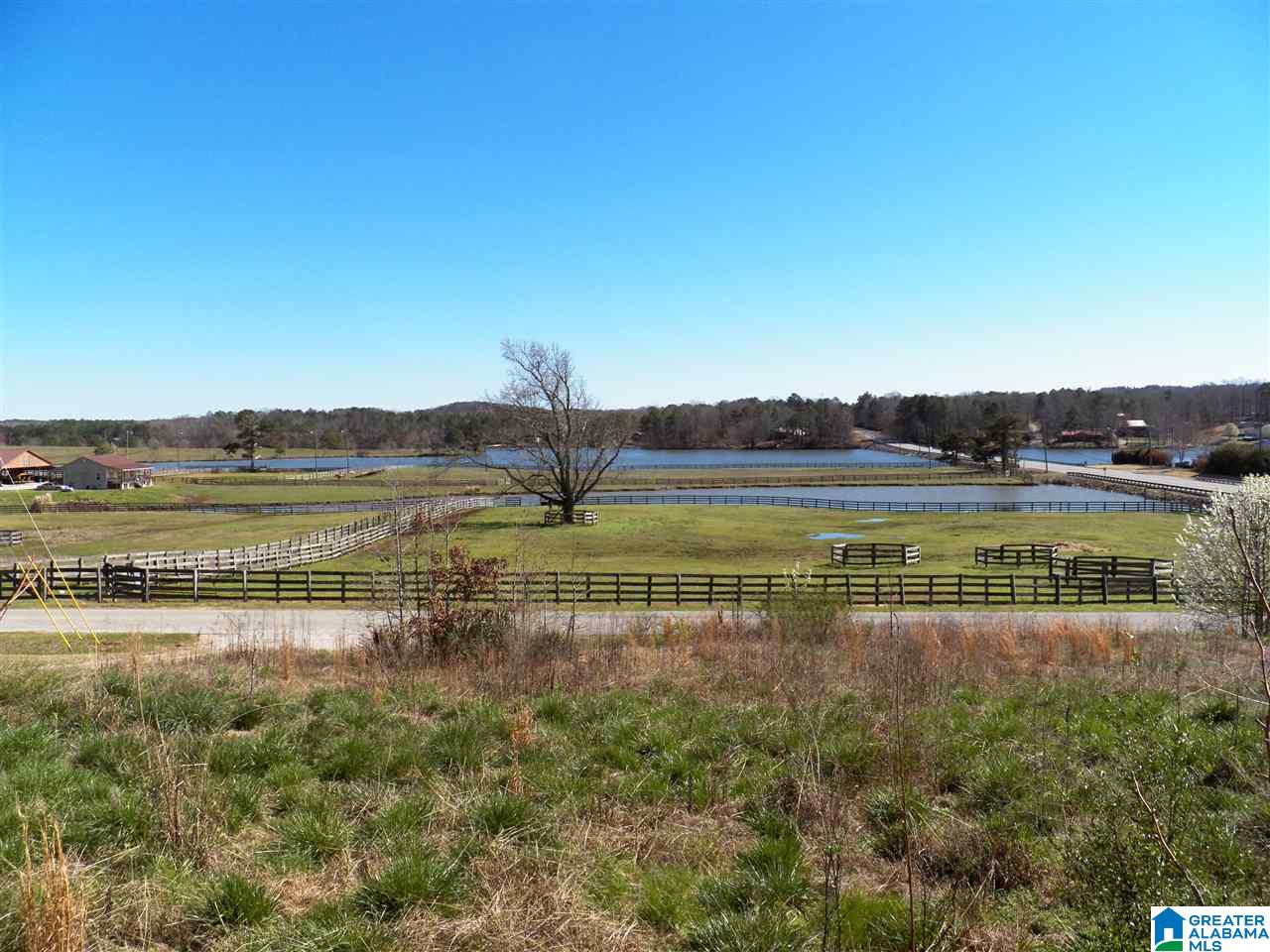 53 Eagle Cove Road, Unit 2 Ohatchee, AL 36271 - Photo 2 of 19