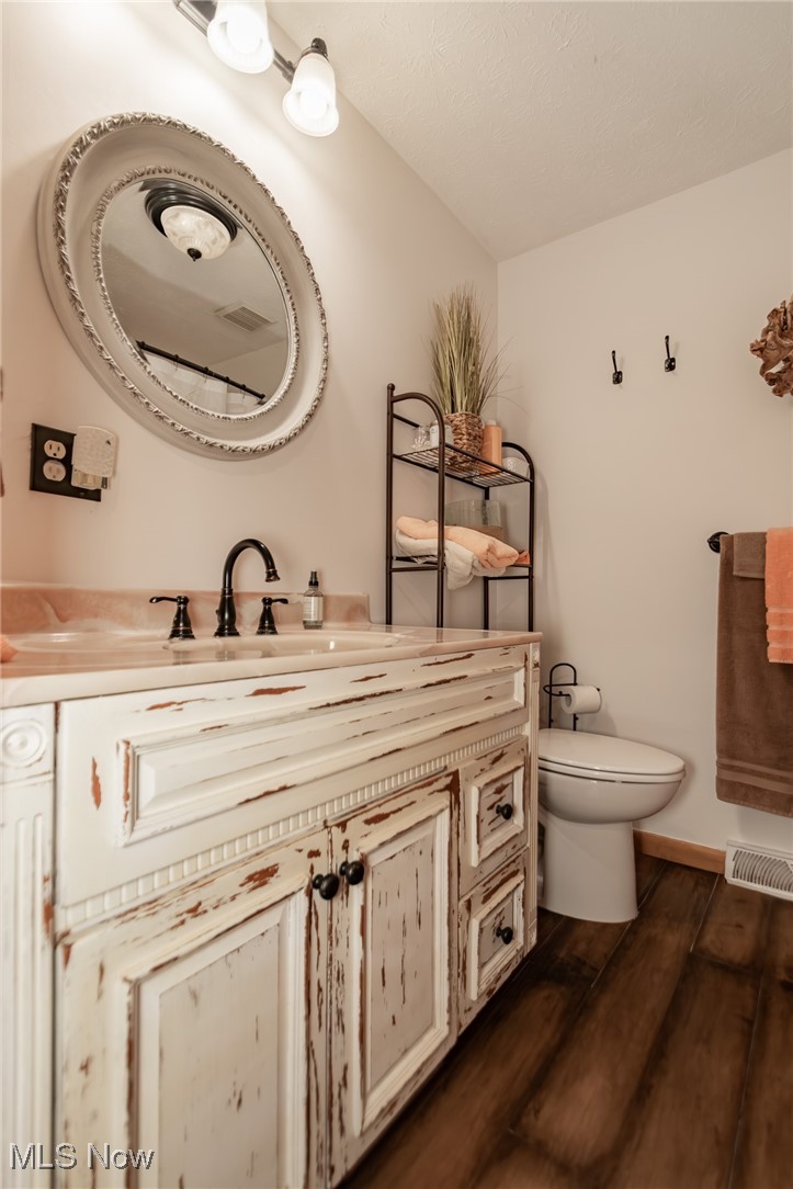 12745 Carter Road Painesville, OH 44077 - Photo 39 of 50 Bathroom with dark wood-style flooring and vanity