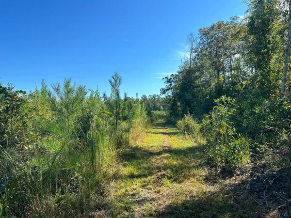 $139,900 | Parcel L Buck Tyner Road, Laurel Hill, FL 32567