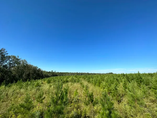 $139,900 | Parcel L Buck Tyner Road, Laurel Hill, FL 32567
