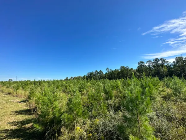 $139,900 | Parcel L Buck Tyner Road, Laurel Hill, FL 32567