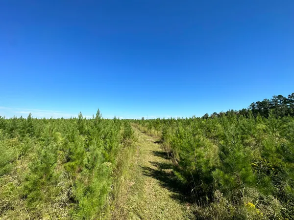 $139,900 | Parcel L Buck Tyner Road, Laurel Hill, FL 32567