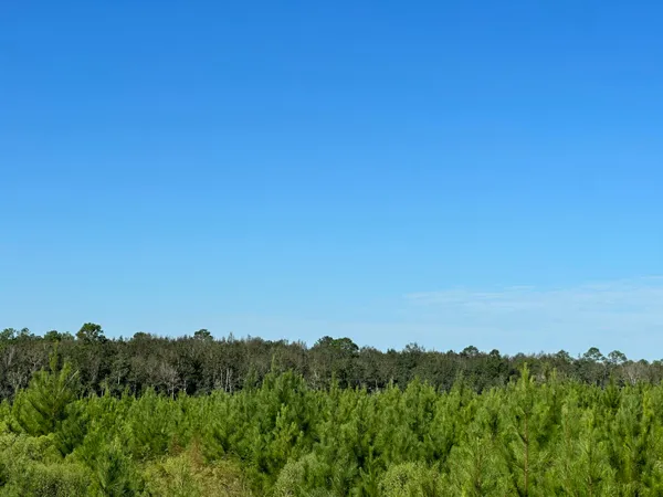 $139,900 | Parcel L Buck Tyner Road, Laurel Hill, FL 32567