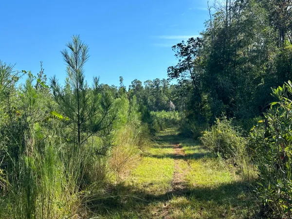$139,900 | Parcel L Buck Tyner Road, Laurel Hill, FL 32567
