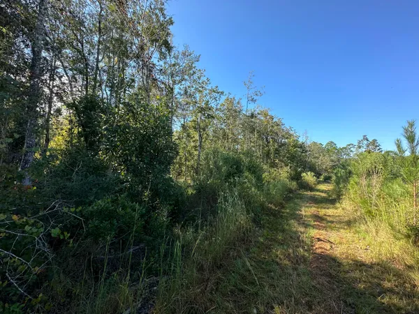 $139,900 | Parcel L Buck Tyner Road, Laurel Hill, FL 32567