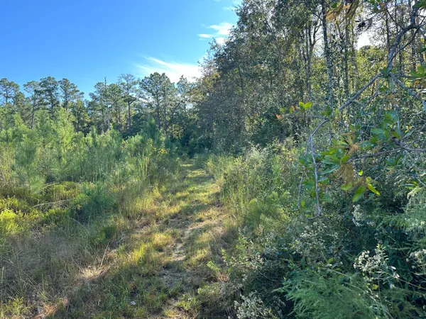 $139,900 | Parcel L Buck Tyner Road, Laurel Hill, FL 32567