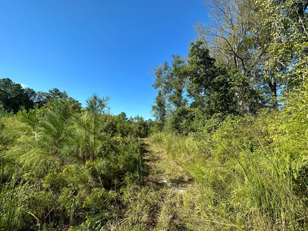 $139,900 | Parcel L Buck Tyner Road, Laurel Hill, FL 32567