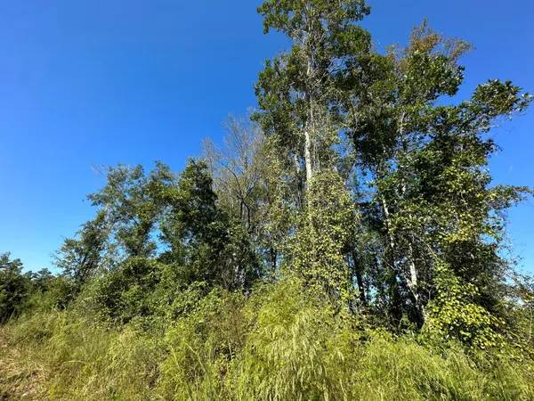 $139,900 | Parcel L Buck Tyner Road, Laurel Hill, FL 32567