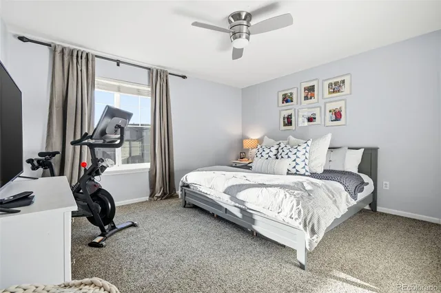 a bedroom with a bed couch and a window