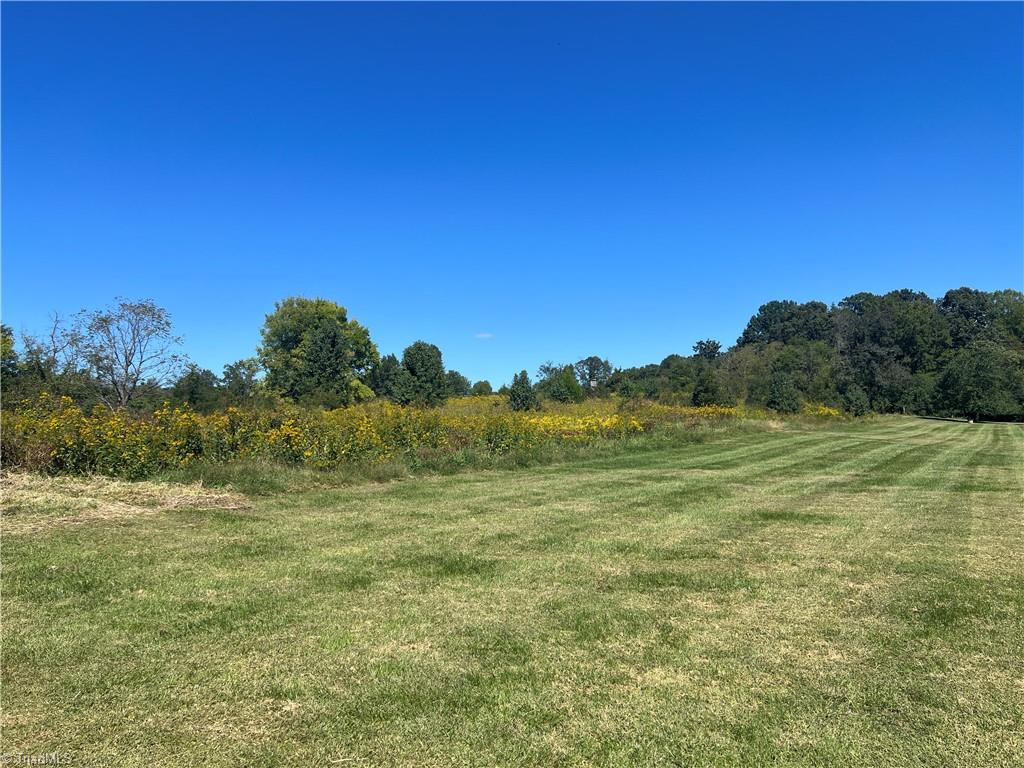 3680 Brower Meadow Road Staley, NC 27355 - Photo 7 of 12 5 acres of land next door