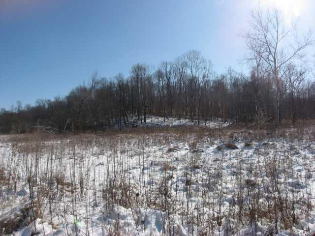 7000 Lower Cliff Road Poland, IN 47868 - Photo 1 of 12 Gallery Image 1